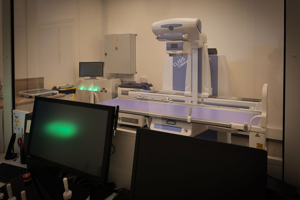 Radiologie